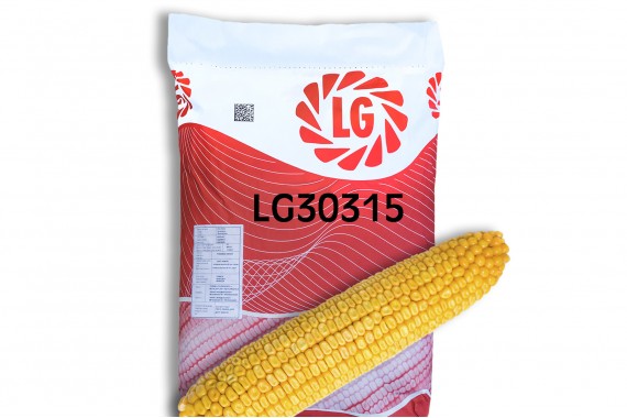 Гібрид кукурудзи Limagrain ЛГ 30315