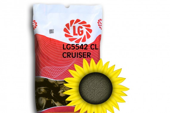 Гібрид насіння соняшнику Limagrain ЛГ 5542 КЛ Круізер