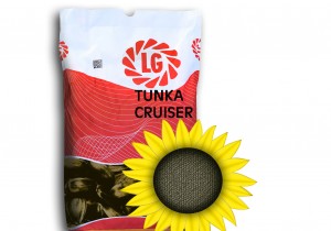 Насіння соняшнику Limagrain Тунка Круізер