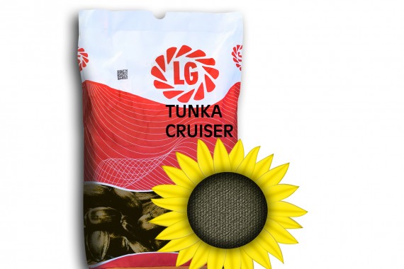 Насіння соняшнику Limagrain Тунка Круізер (середньоранній сорт)