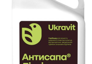 Антисапа Ліквід, КС