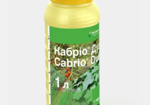 Фунгіцид широкого спектра дії Basf Кабріо Дуо 1 л