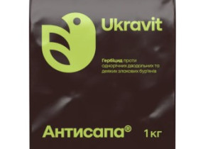 Антисапа, ВГ