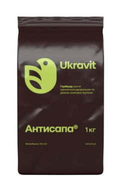 Антисапа, ВГ