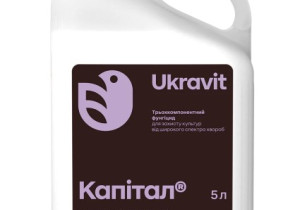 Капітал, КС