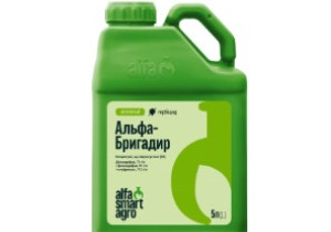 Гербіцид системної дії ALFA Smart Agro Альфа-Бригадир, КЕ 5 л