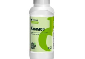 Селективний гербіцид ALFA Smart Agro Хаммер, ВГ 0,5 кг