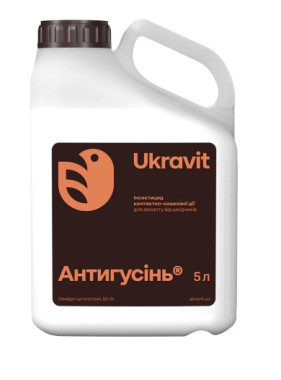 Антигусинь, КС