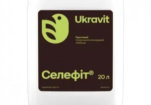 Селефіт, КС