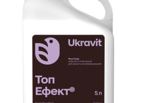 Топ Ефект, КС