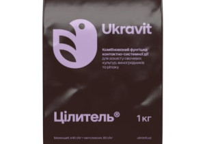 Цілитель, ЗП