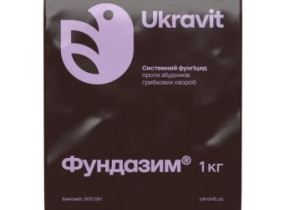 Фундазим, ЗП