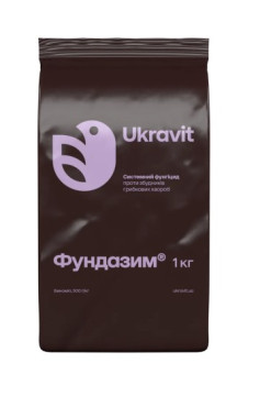 Фундазим, ЗП