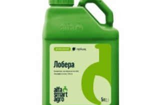 Протизлаковий грамініцид ALFA Smart Agro Лобера, КЕ 5 л