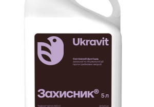 Захисник, КС