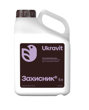 Захисник, КС