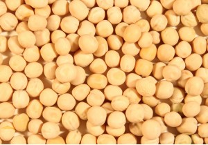 Насіння гороху KWS Карпати СН-1