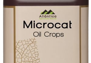 Мікрокат Олійний