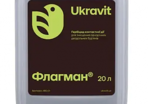 Флагман, РК