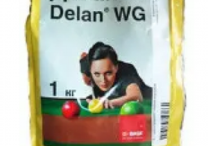 Фунгіцид Basf Делан, ВГ 1 кг