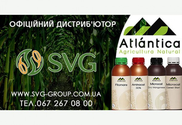 Рекомендації щодо вирощування кукурудзи