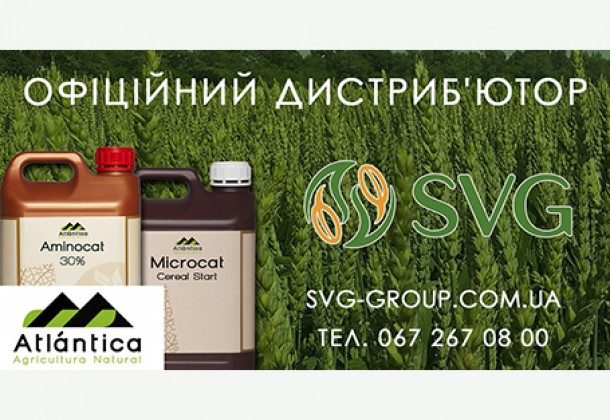 Рекомендації щодо вирощування пшениці