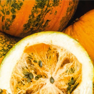 Насіння голонасінного гарбуза Ware Austria AG Гляйсдорфер Олкюрбіс