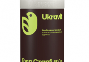 Голд Стар, ВГ