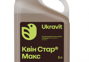 Квін Стар Макс, КЕ