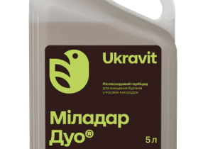 Міладар Дуо, КС