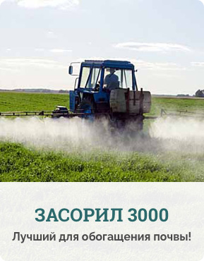 Засорил 3000
