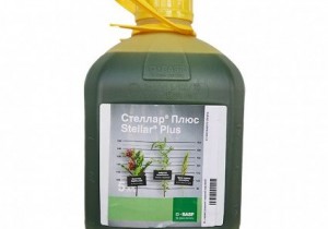 Гербіцид Стеллар Плюс Basf 5л