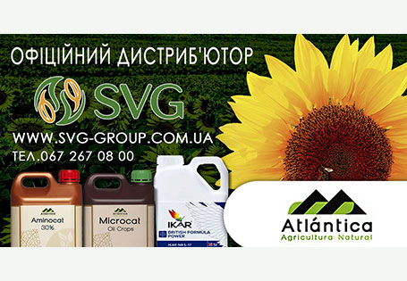 Рекомендації щодо вирощування соняшника